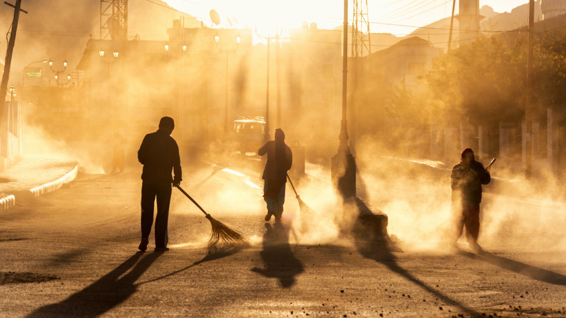 Choose Us for Rubbish Removal Ashfield