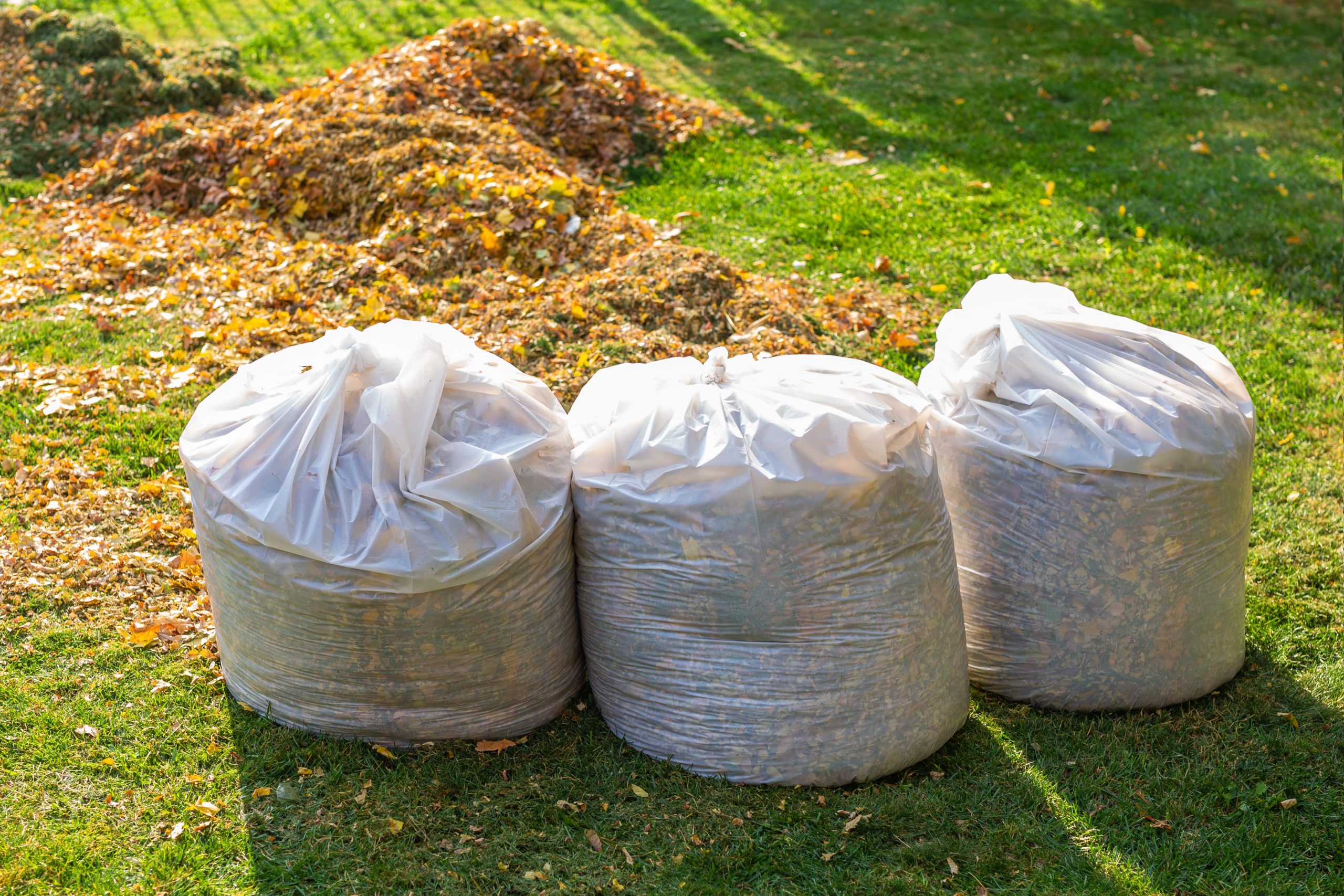 South Yarra Garbage Removal