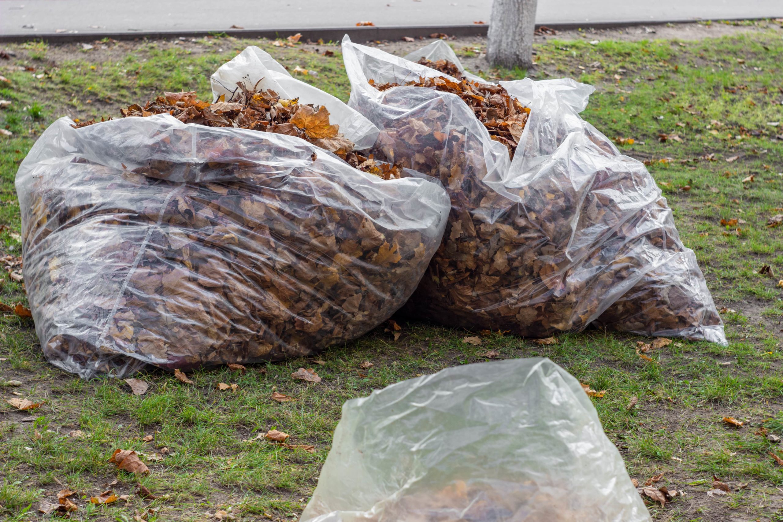 Murrumbeena Garbage Removal