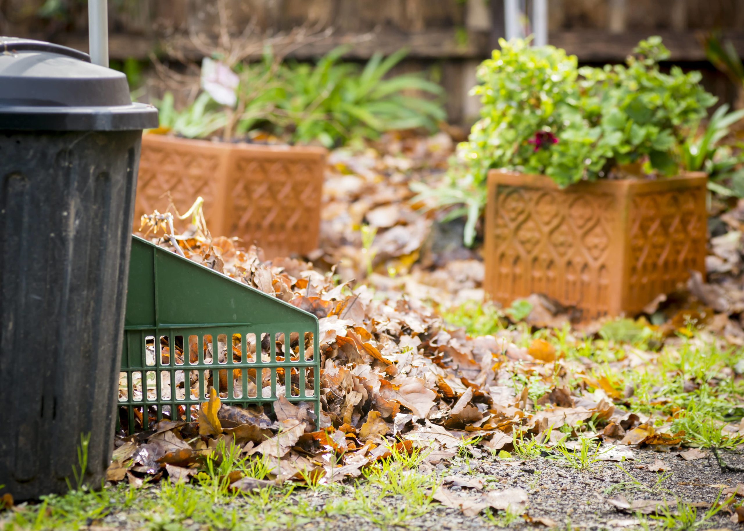 Trusted Garden Waste Removal Service