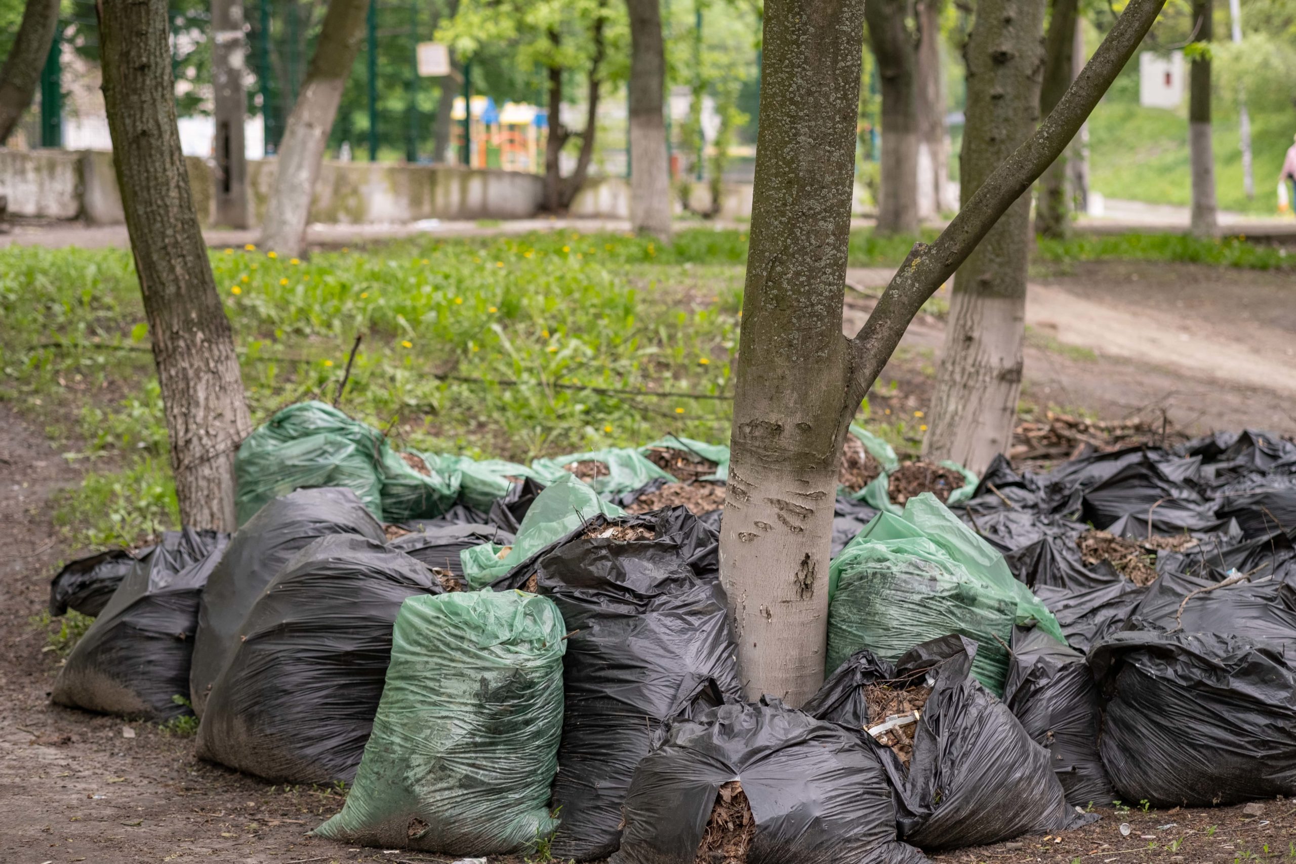 Hampton Garbage Removal