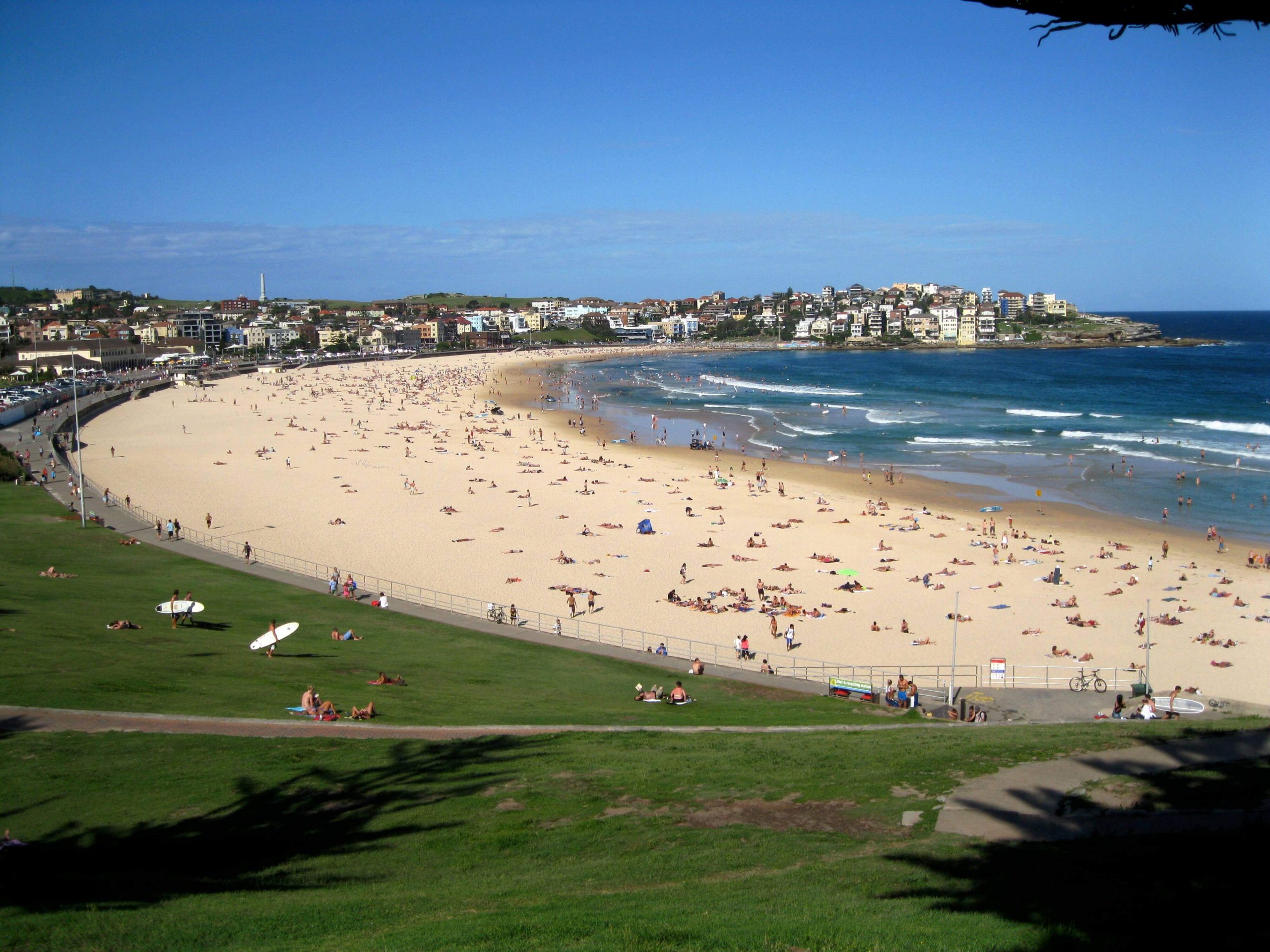 Choose Us for Rubbish Removal Bondi