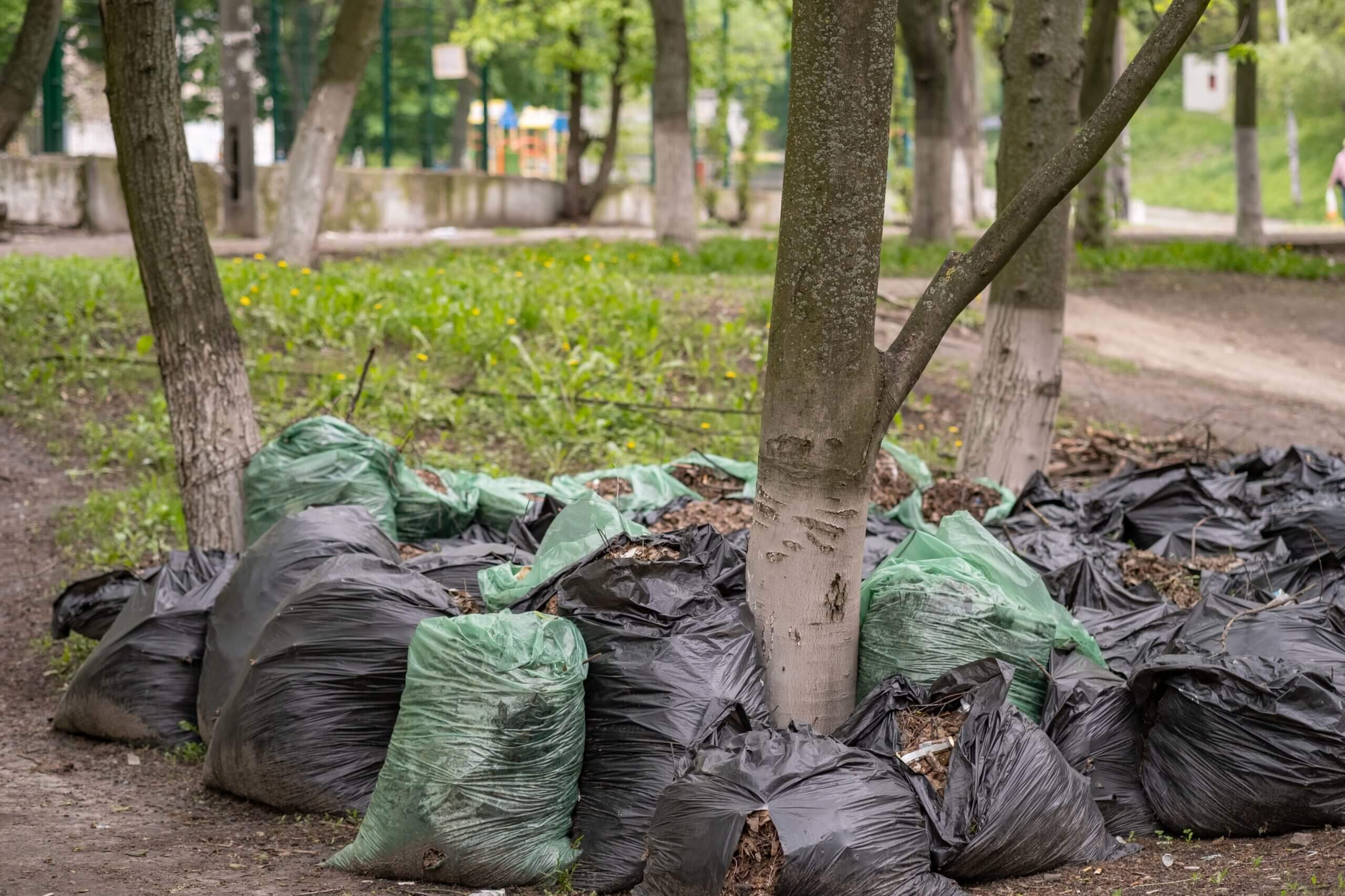 Green Waste Removal